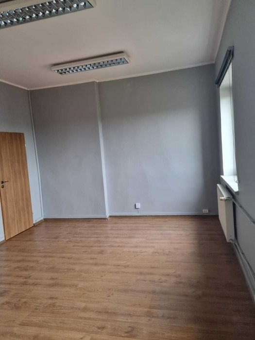 Lokal - biuro do wynajęcia