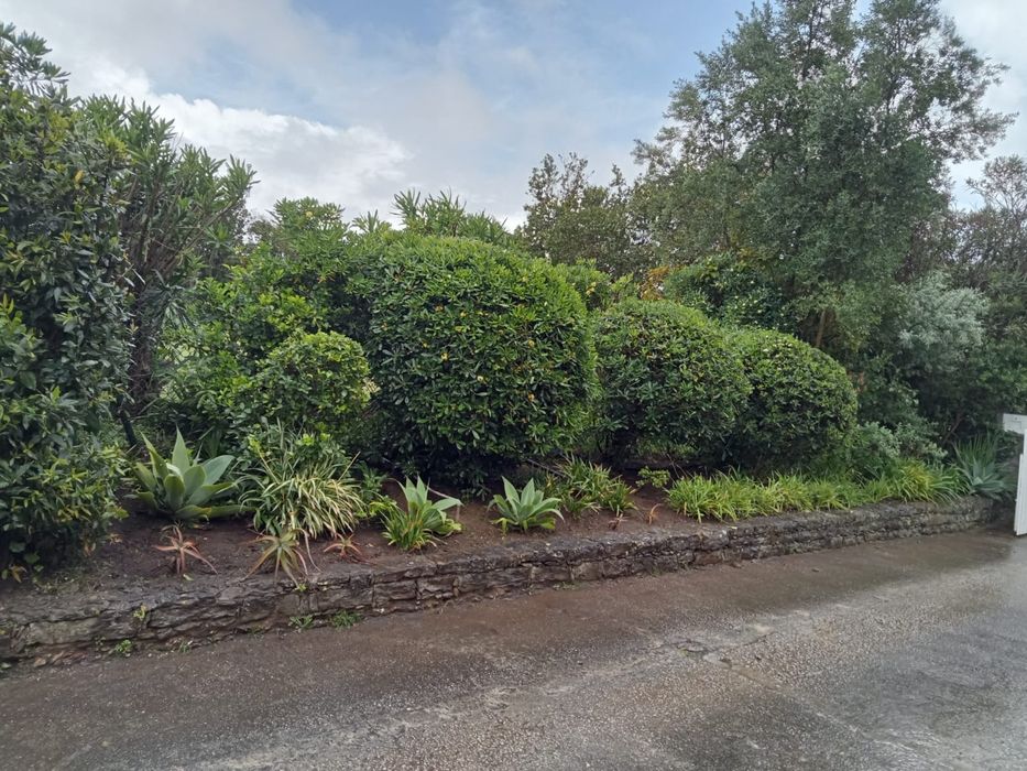 Construção e Manutenção de jardins