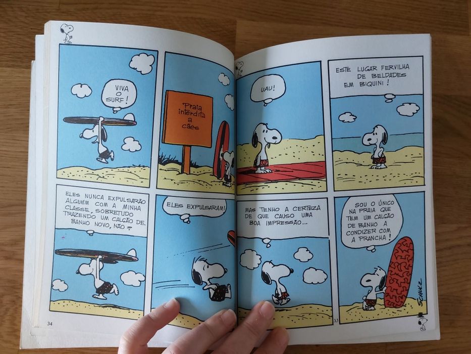 Livro Snoopy e as Mulheres