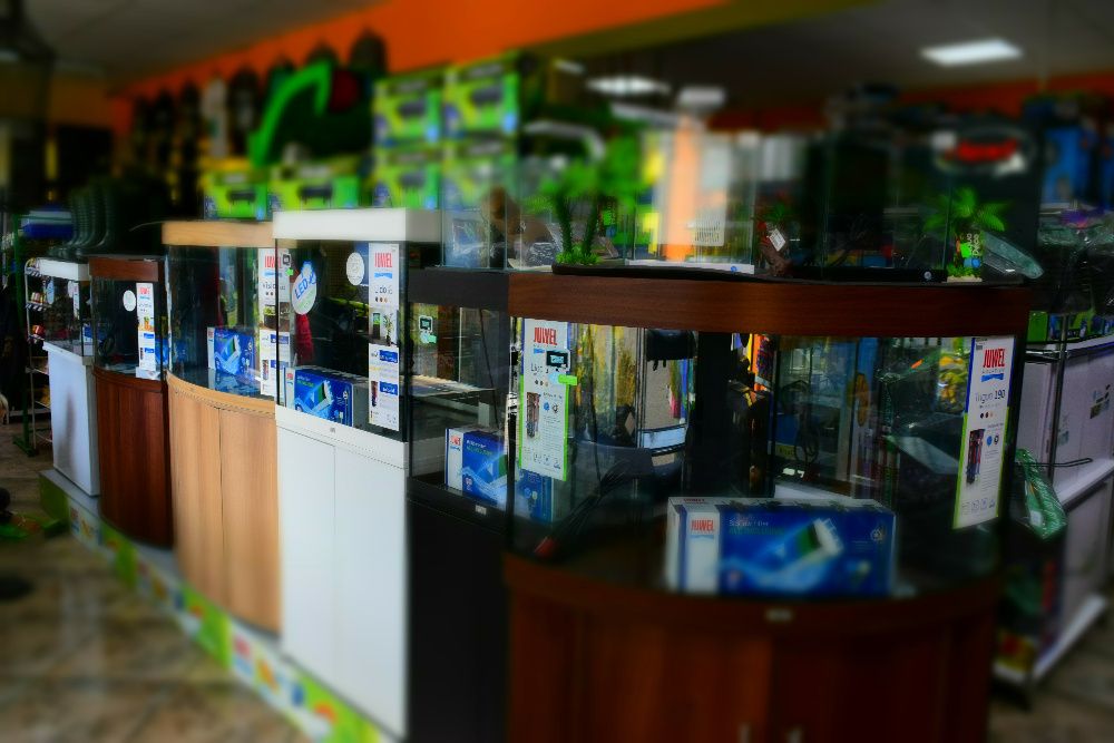 Zoologiczny Oświęcim JUWEL akwarium TRIGON 190 HeliaLux LED +kontroler