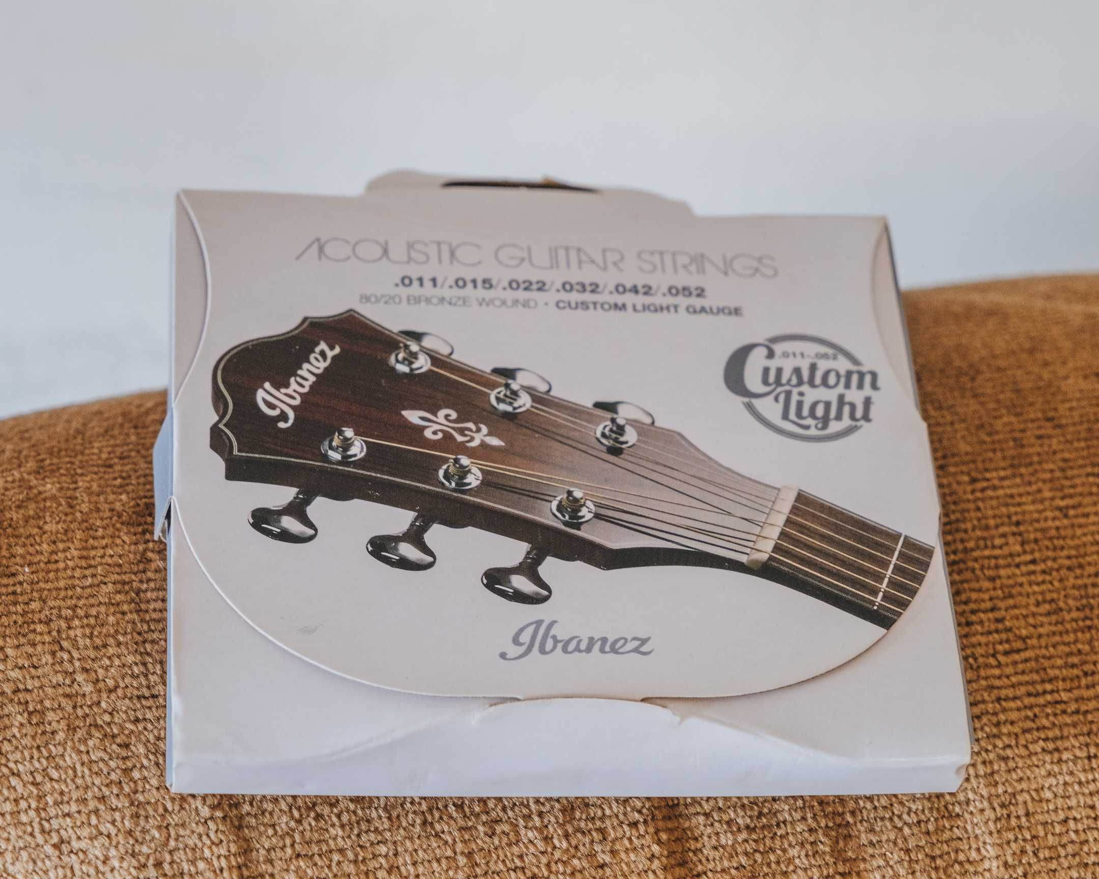 Guitarra Clássica Ibanez