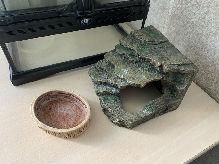 Тераріум, декор, освітлення