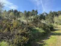Terreno rustico