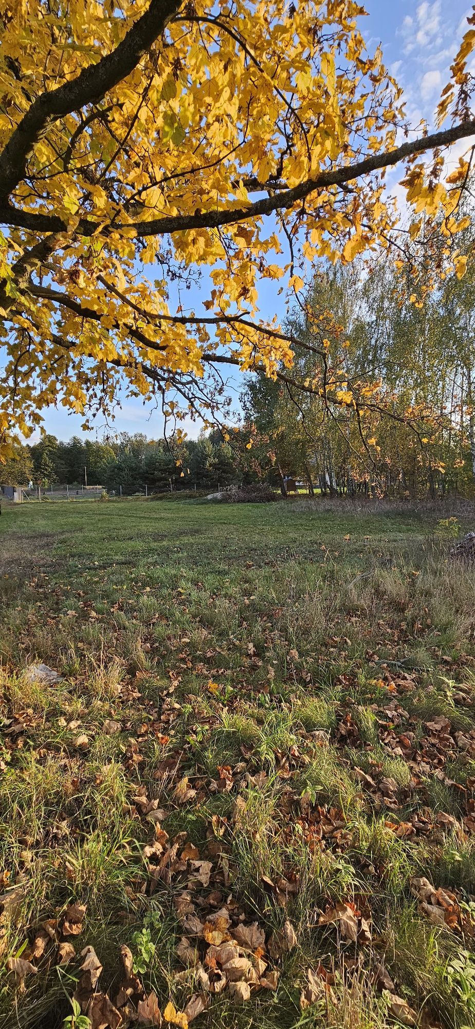 Działki bud. 1076M2, 1200M2 - gmina Głowaczów; WZ
