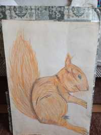Rysunek wiewiórki.
