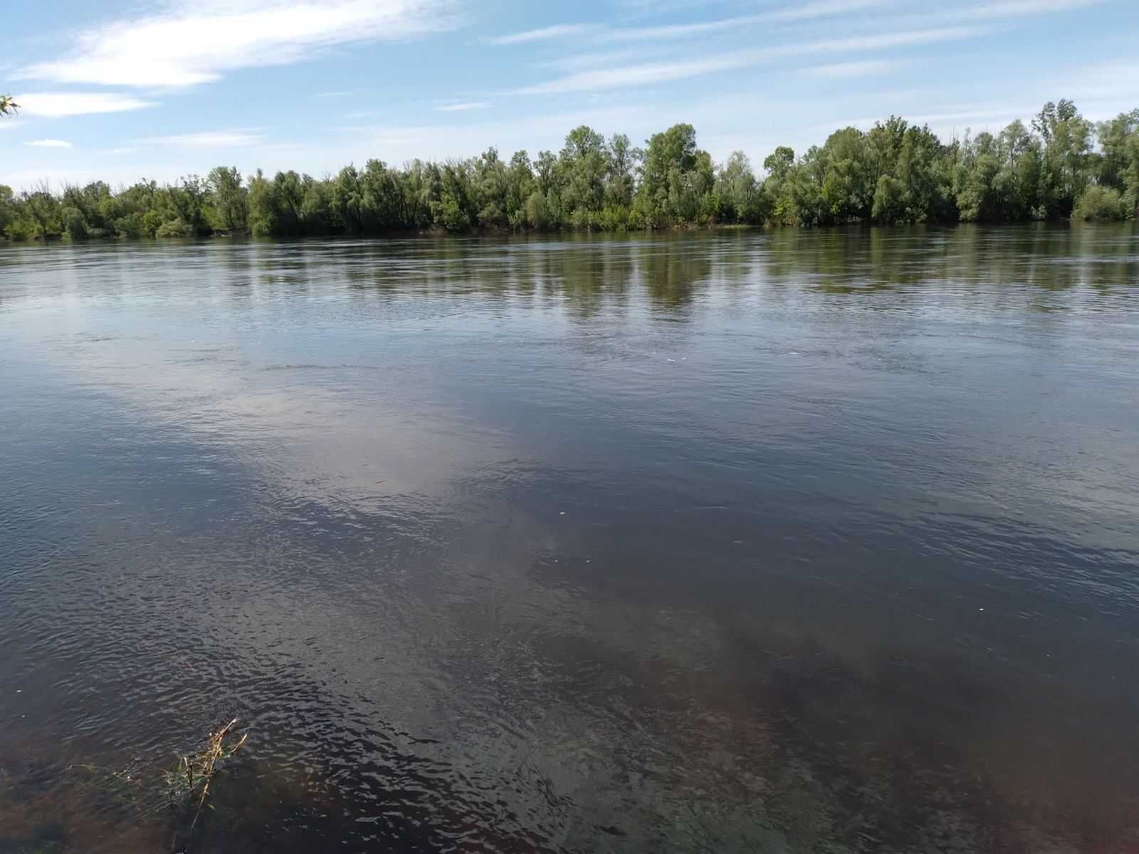 Чудова ділянка поблизу лісу, під будівництво