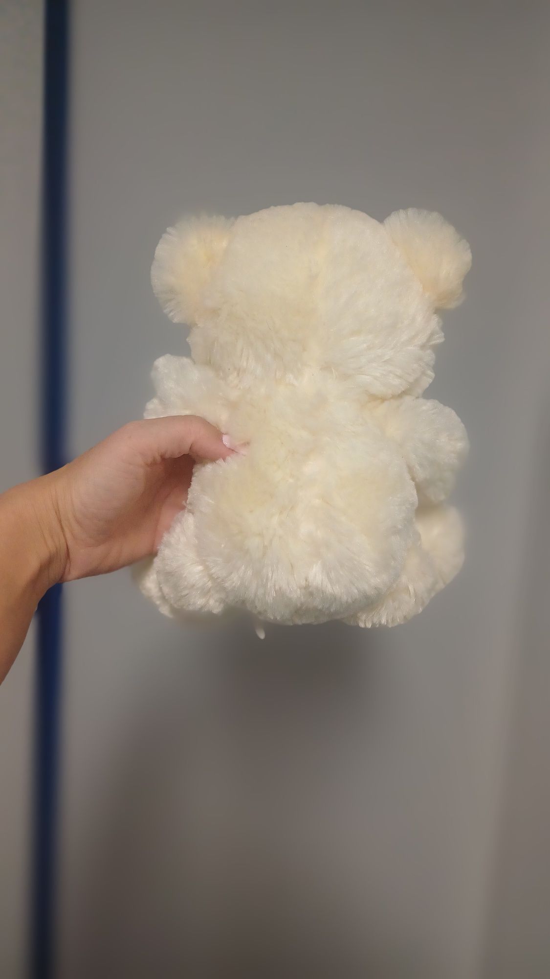 Peluches com coração (Novos)