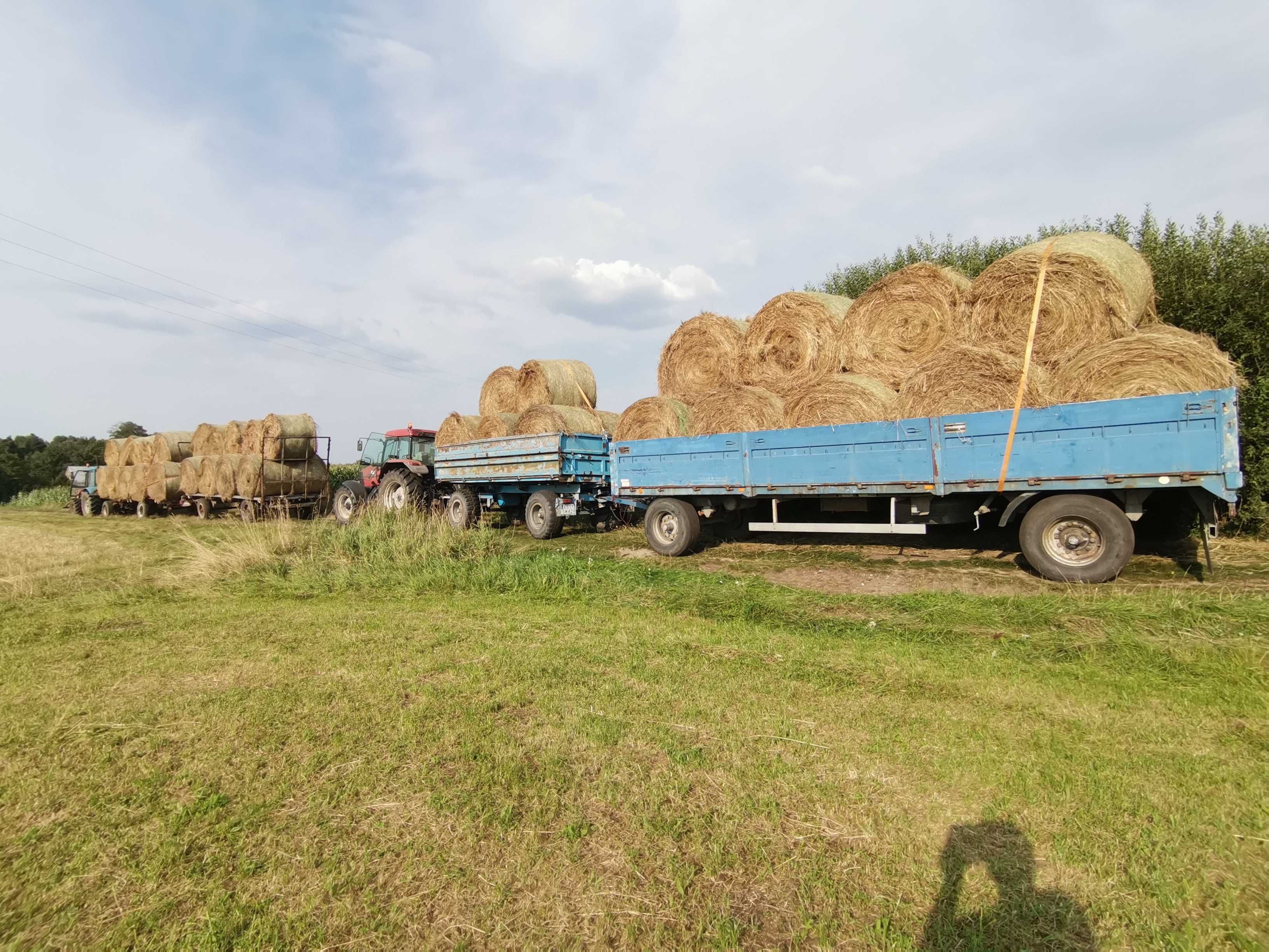 Koszenie zbóż, transport ziarna do magazynu/skupu wg. Potrzeb