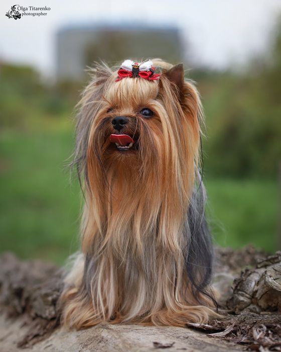 КСУ Кабель для вязки