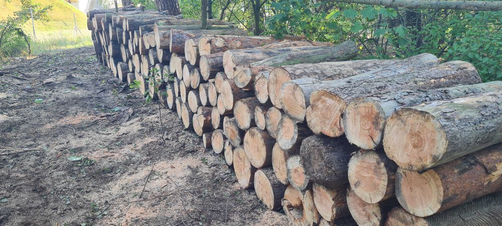 Drewno opałowe sezonowane