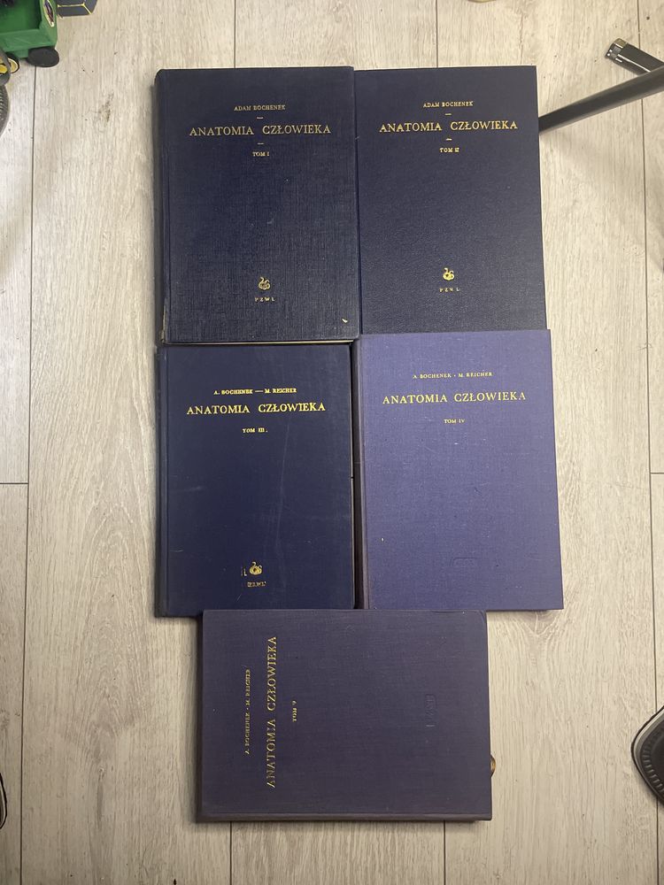 Anatomia Człowieka 1952 Bochenek Tom 1-5 tomy I II III IV V PZWL PRL