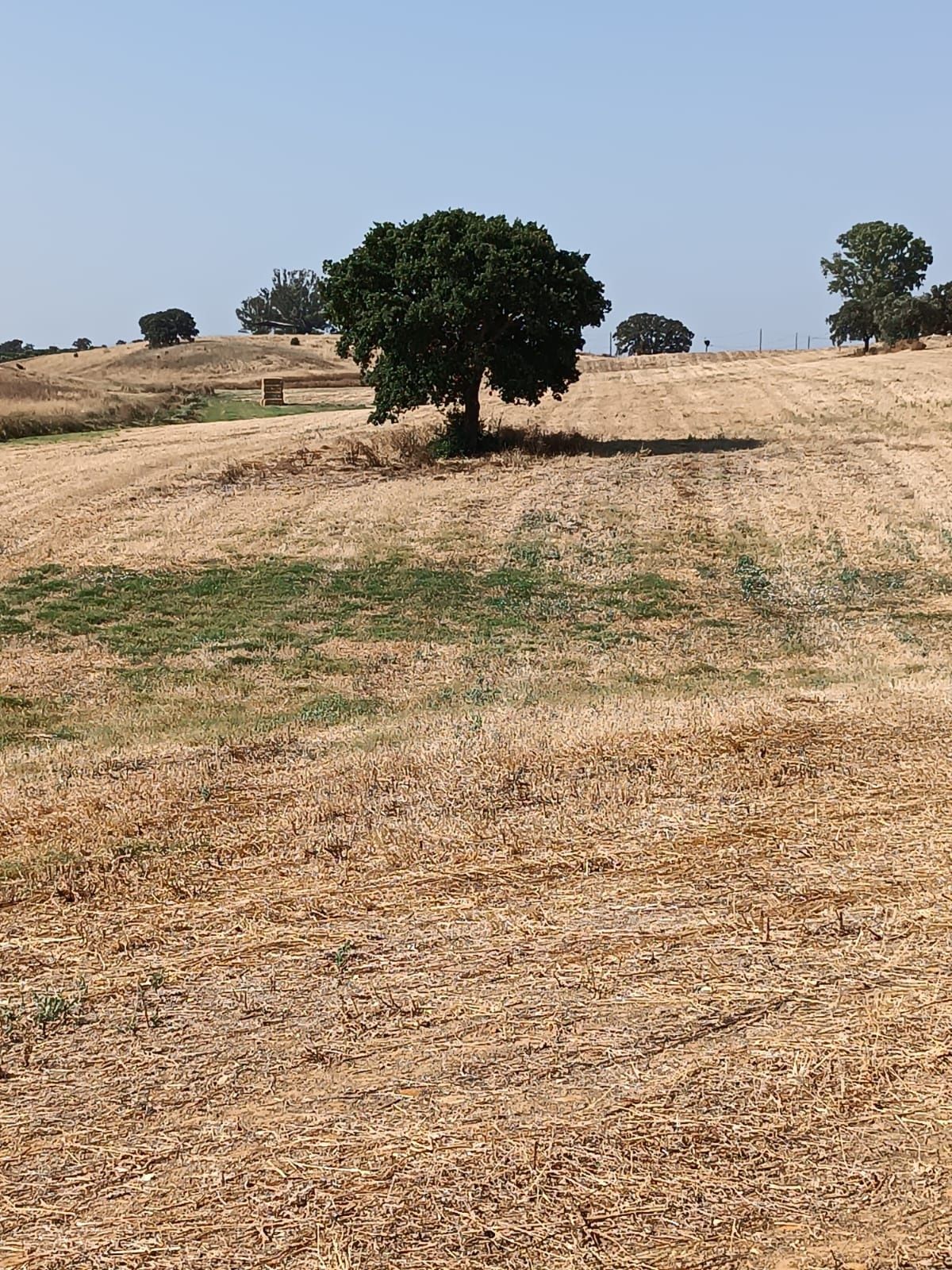 Herdade de 27 hectares