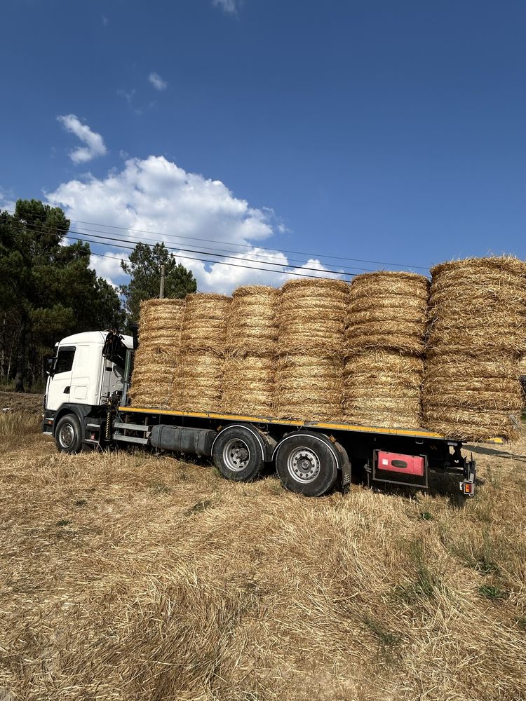 Rolos de fenos e palha, 1.20 m por 1.20m