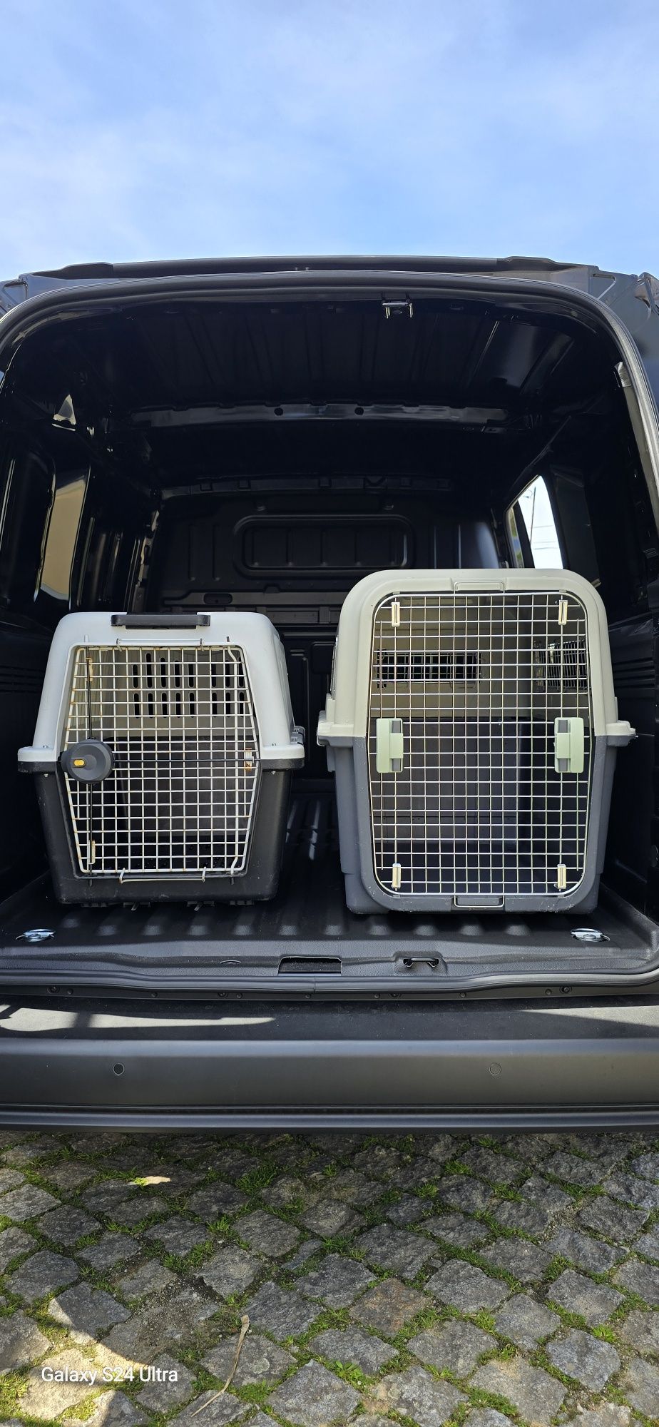 TransPatas - Serviço de transporte de animais