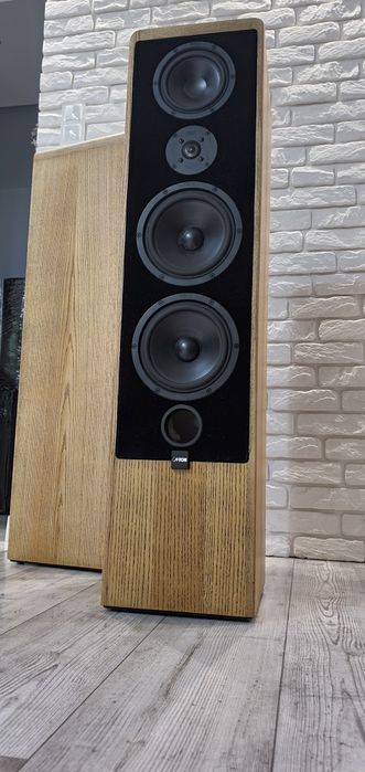 Kolumny Canton Ergo 90, po renowacji.