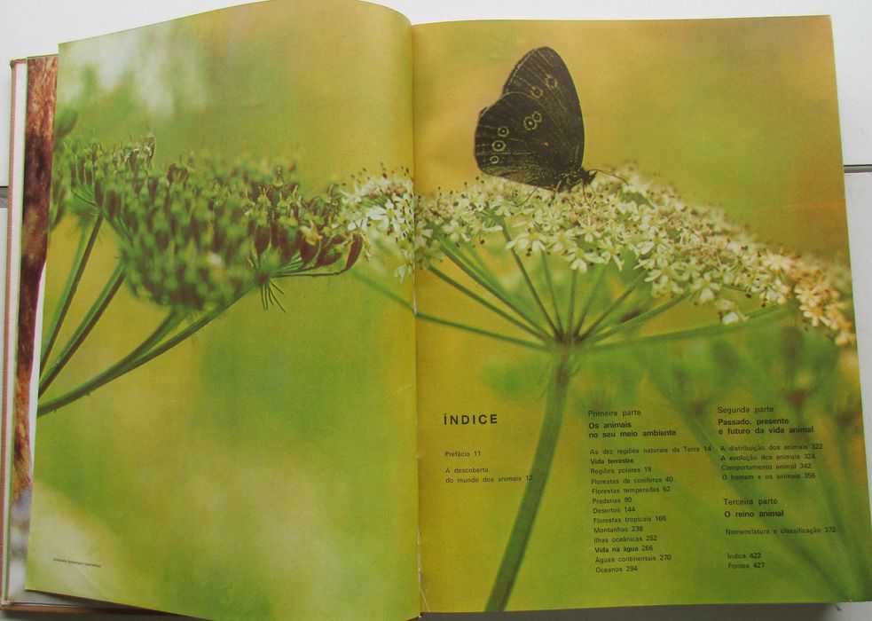 Animais da Terra - - - - - Enciclopédia