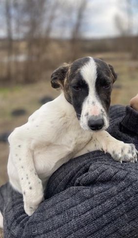 Знайдись, родина!