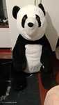 Miś pluszowy panda