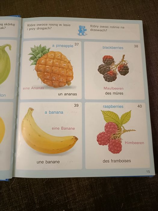 Obrazki i słowa elementarz językowy angielsko-francusko-niemiecki