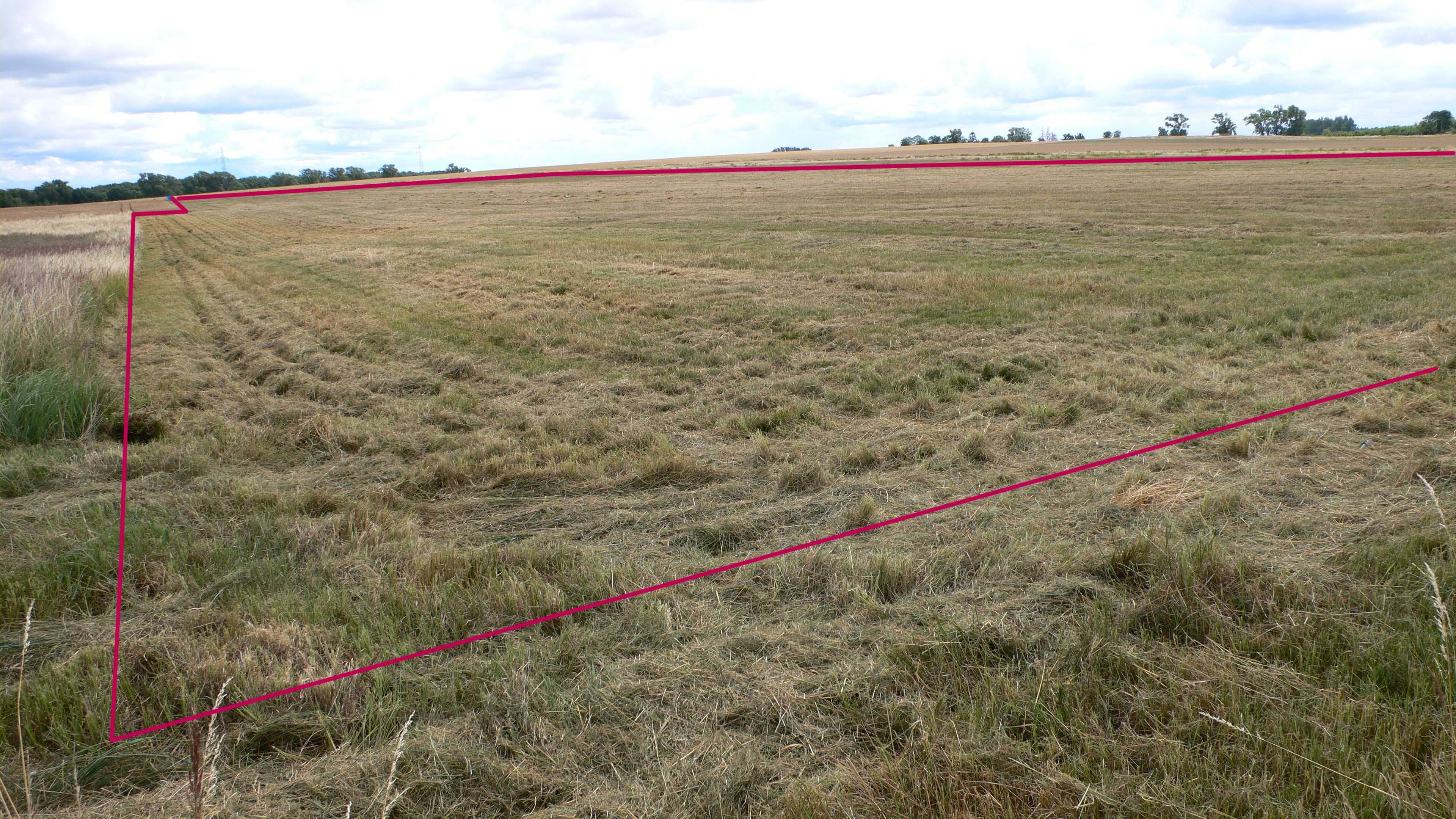 Działka rolna 6.57 ha Chwarstno, W/Z na farmę fotowoltaiczną