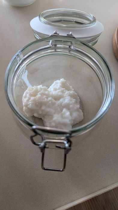 Kefir - pronto para utilizar