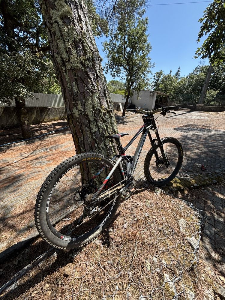 Mondraker summum