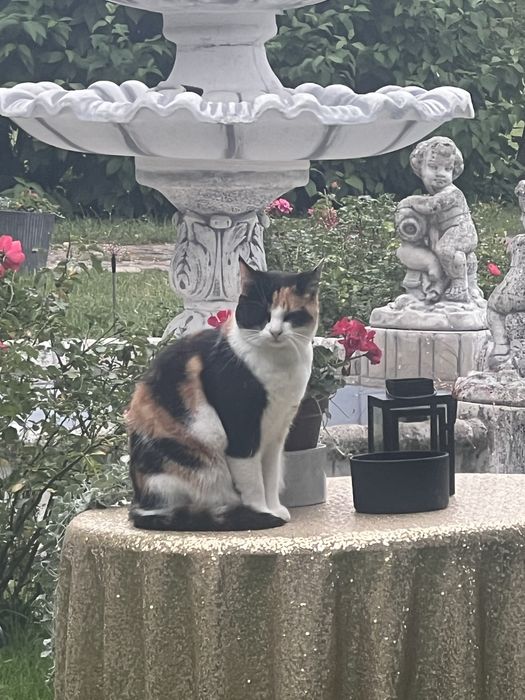 Noclegi , kwatery pracownicze , wynajem sali