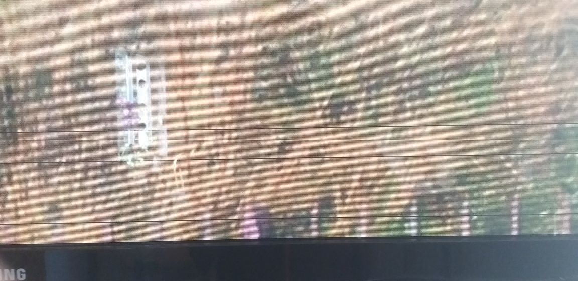 Sprzedam Telewizor Samsung plazmowy 50''