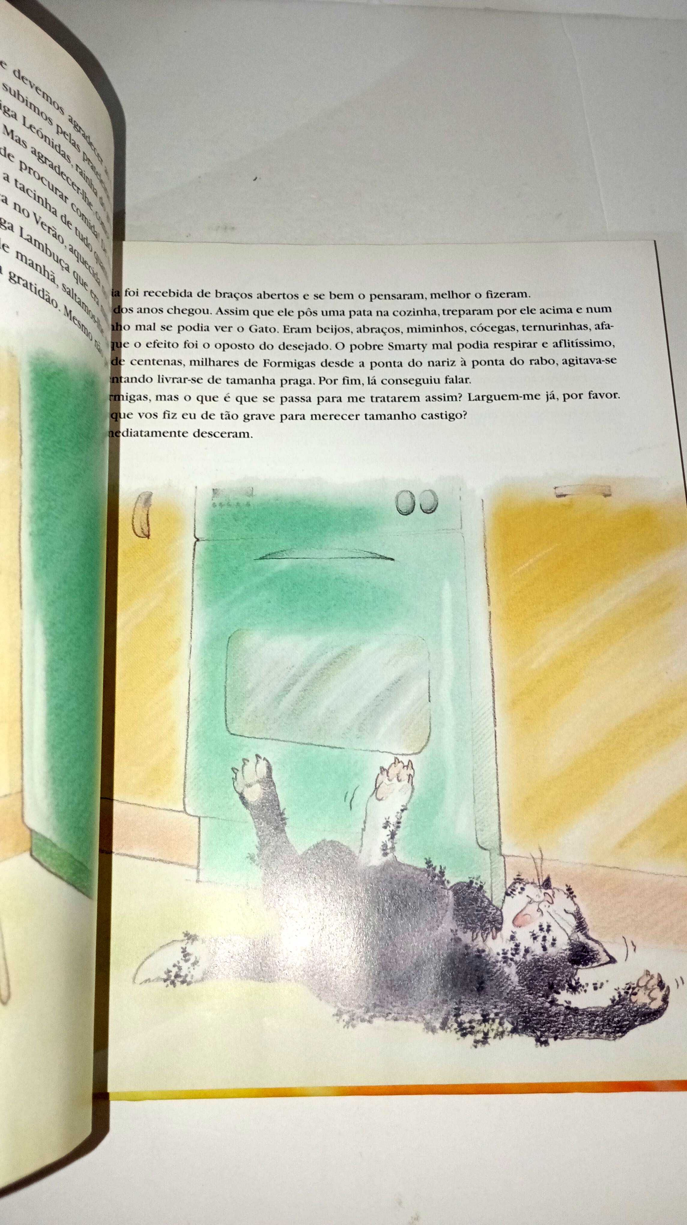 Voar com os pés no Chão