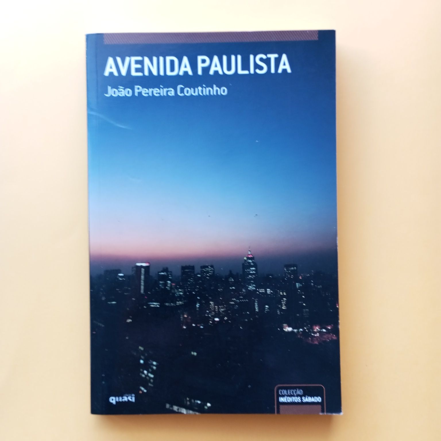 Avenida Paulista - João Pedro Coutinho