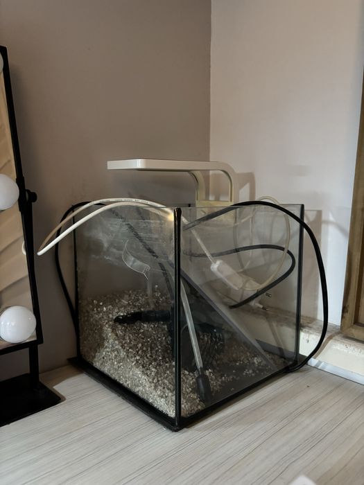 akwarium krewetkarium 8l