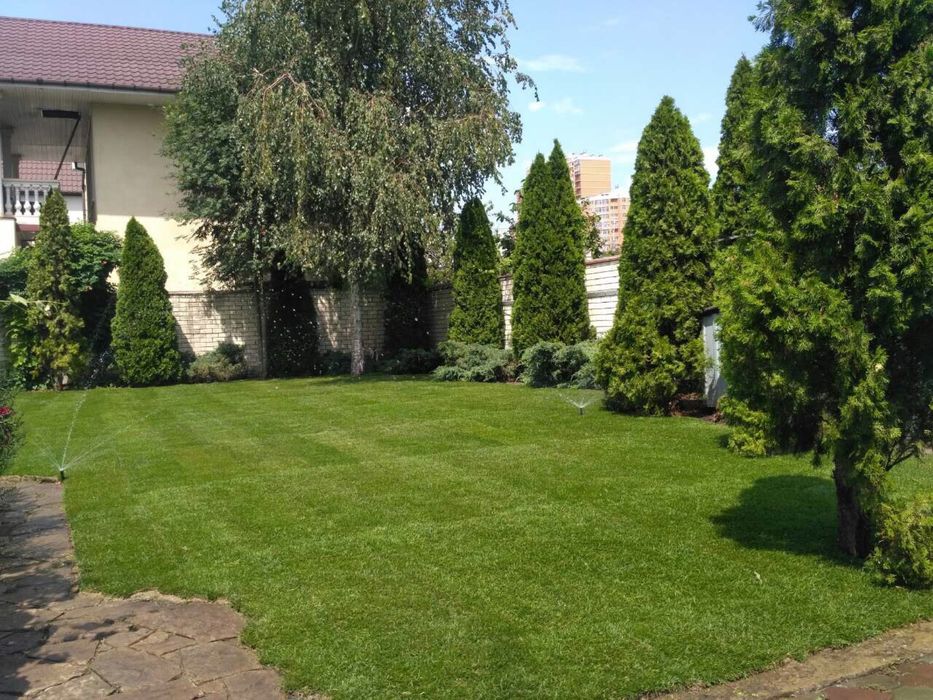 Рулонный газон , автоматический полив , аэрация, покос.