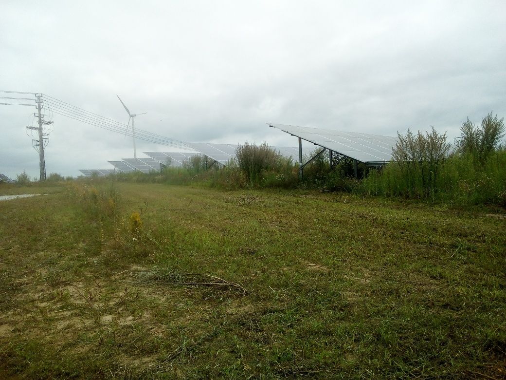 Koszenie zieleni, Mycie Farm Fotowoltaicznych, Koszenie Farm