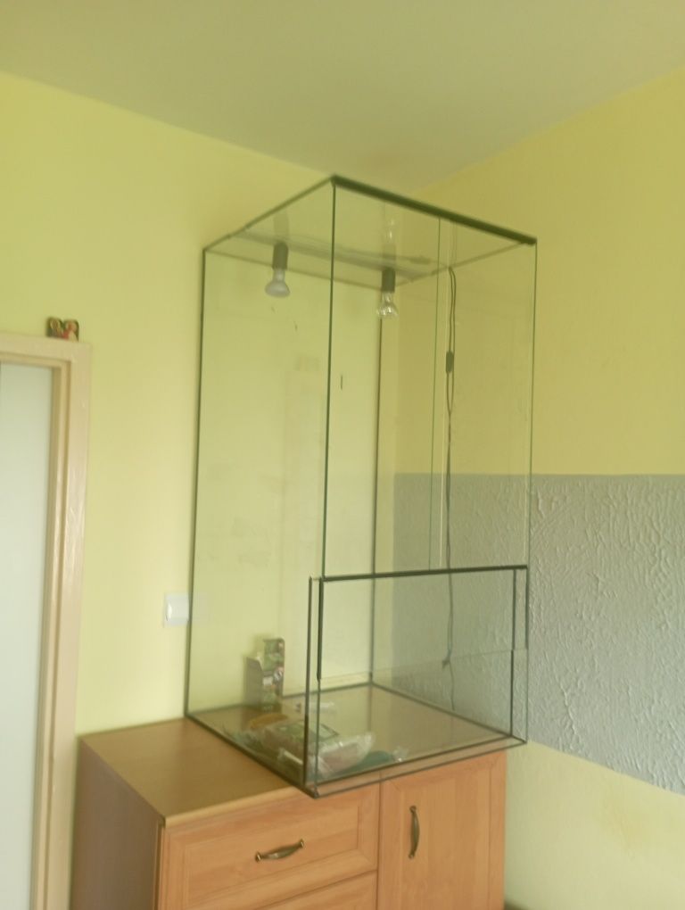 Terrarium na sprzedaż