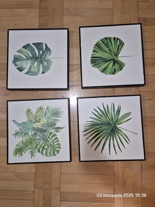 4 obrazy liście zielone czarna ramka
