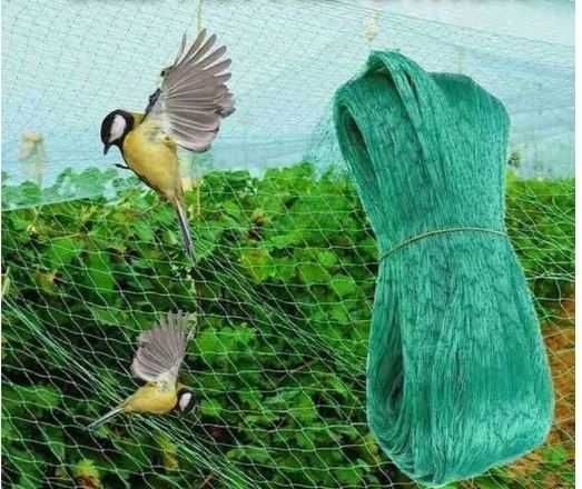 Rede Plástica Proteção Anti-Pássaro Verde