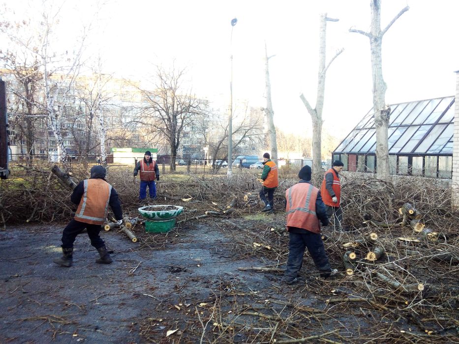 Вивезення смітя, розчистка територій, обрізка дерев