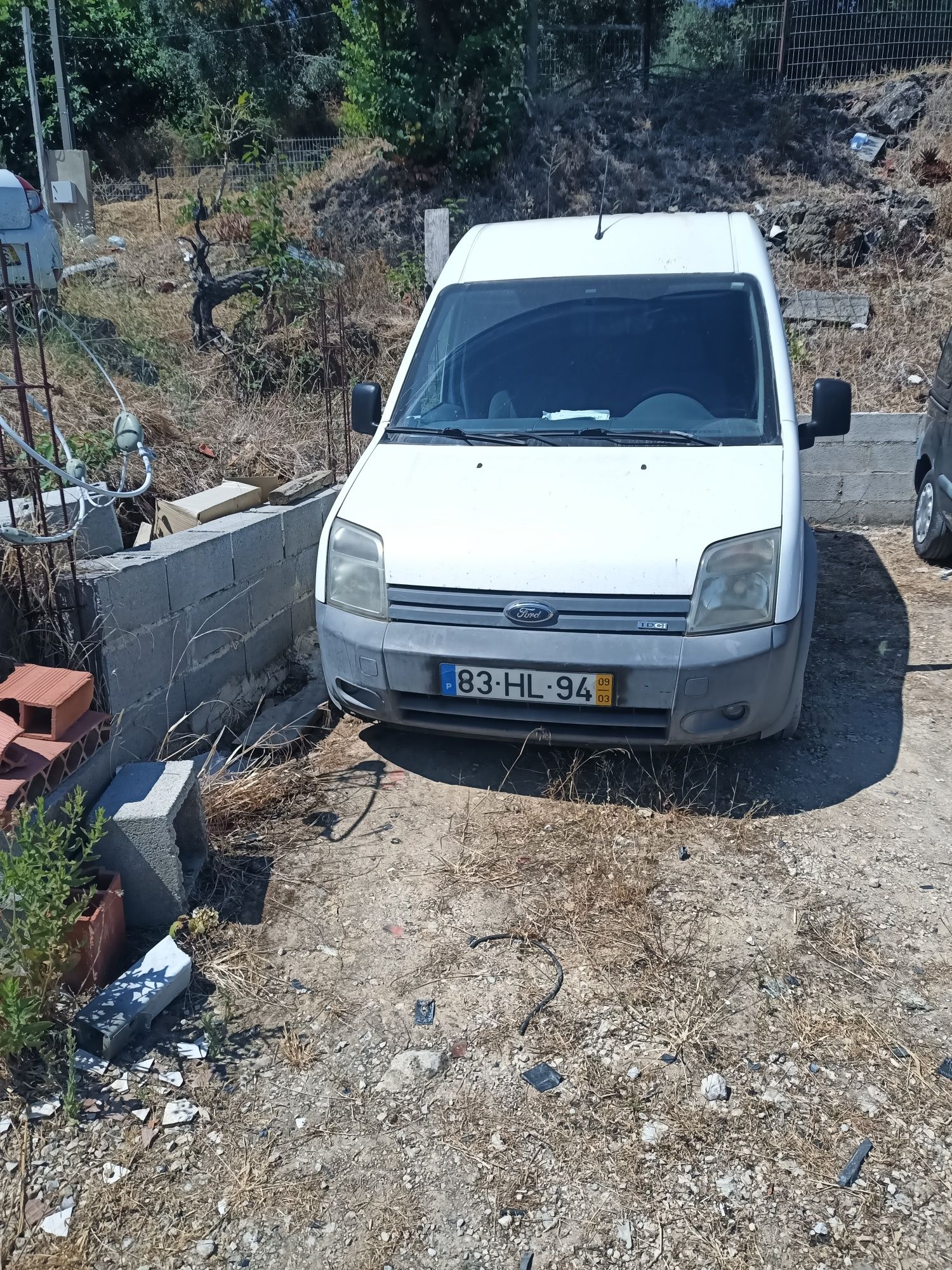 Ford Transit connect