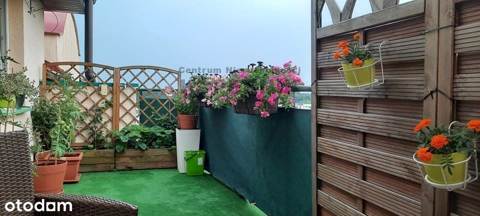 4 pokoje z tarasem, balkonem i 2 piwnicami