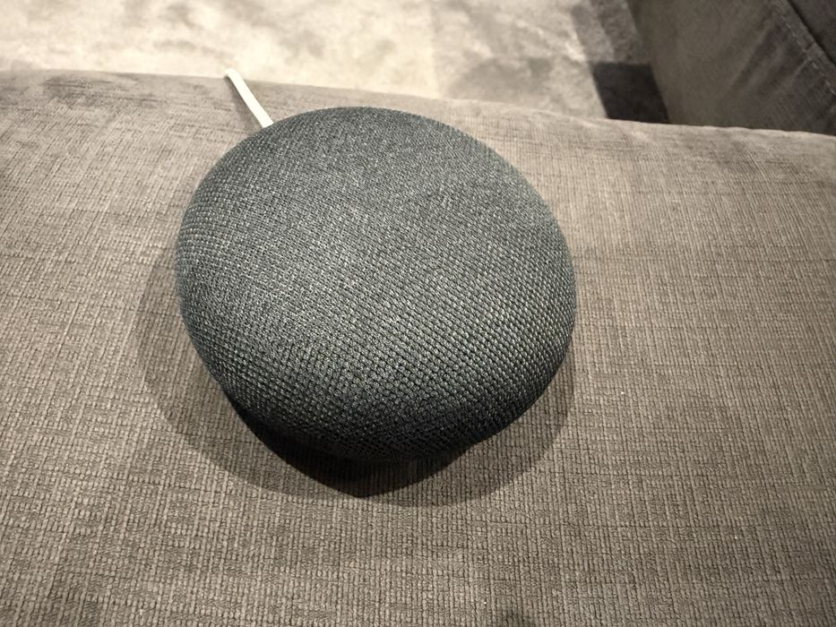 Google home mini