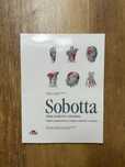 Sobotta tablice anatomiczne mięśni