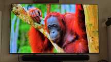 Tv oled lg 65cali  G4  evo
