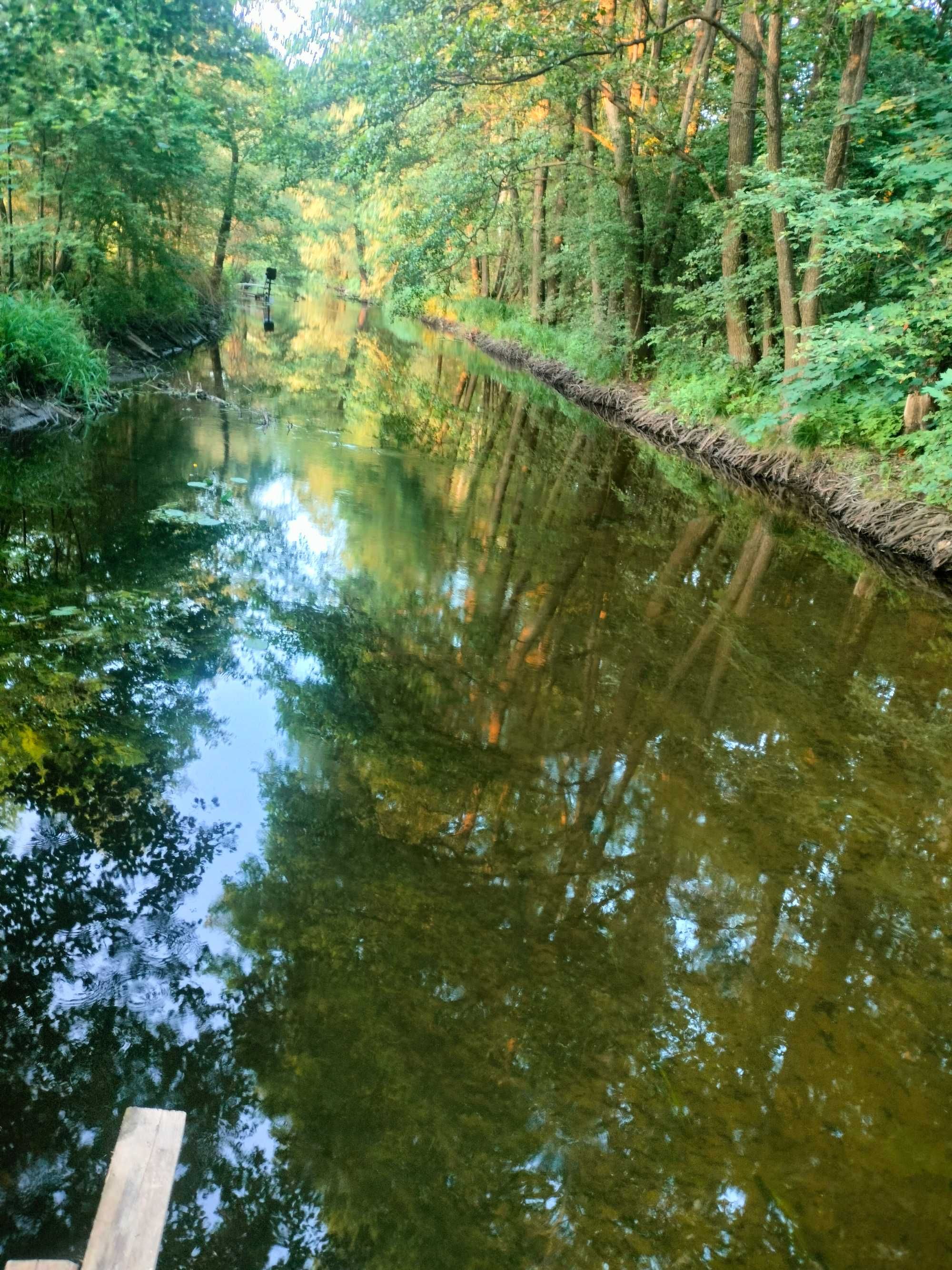 Noclegi, pokoje, dom k.Lidzbarka nad rzeką Wel