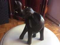 Vendo elefante africano em pau preto