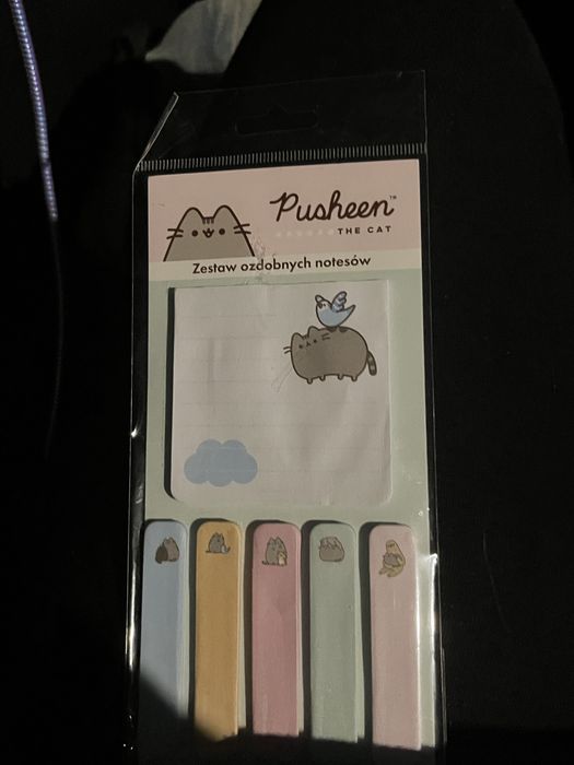Pusheen Karteczki samoprzylepne