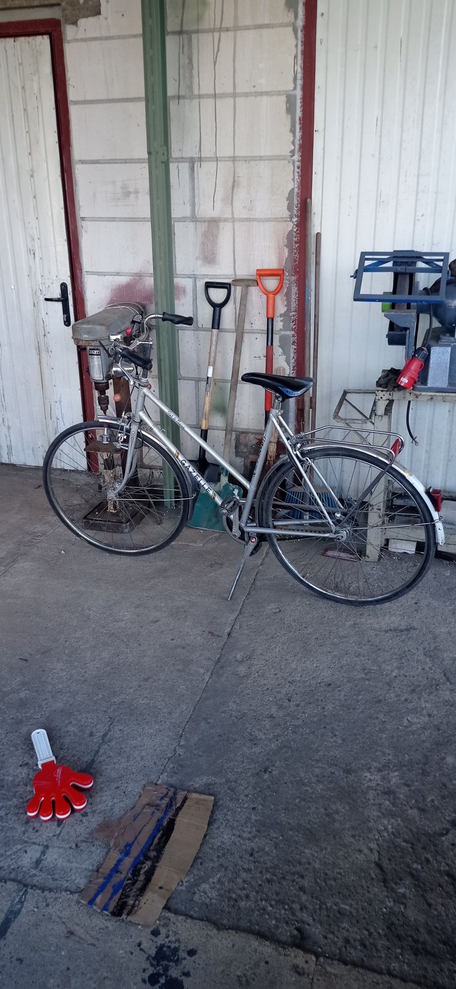 Rower gazelle holenderski