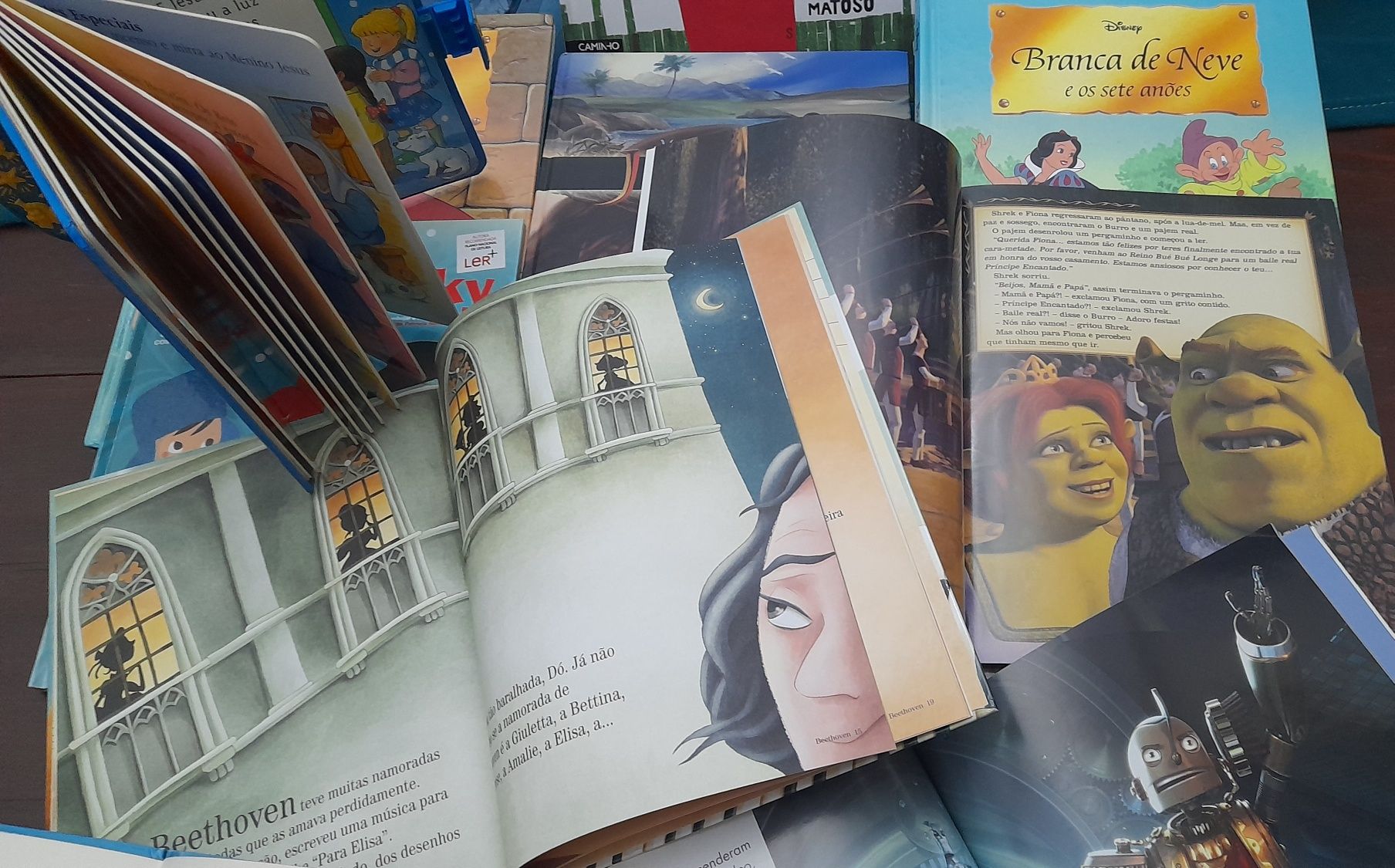 Lote 16 Livros infantis e juvenis