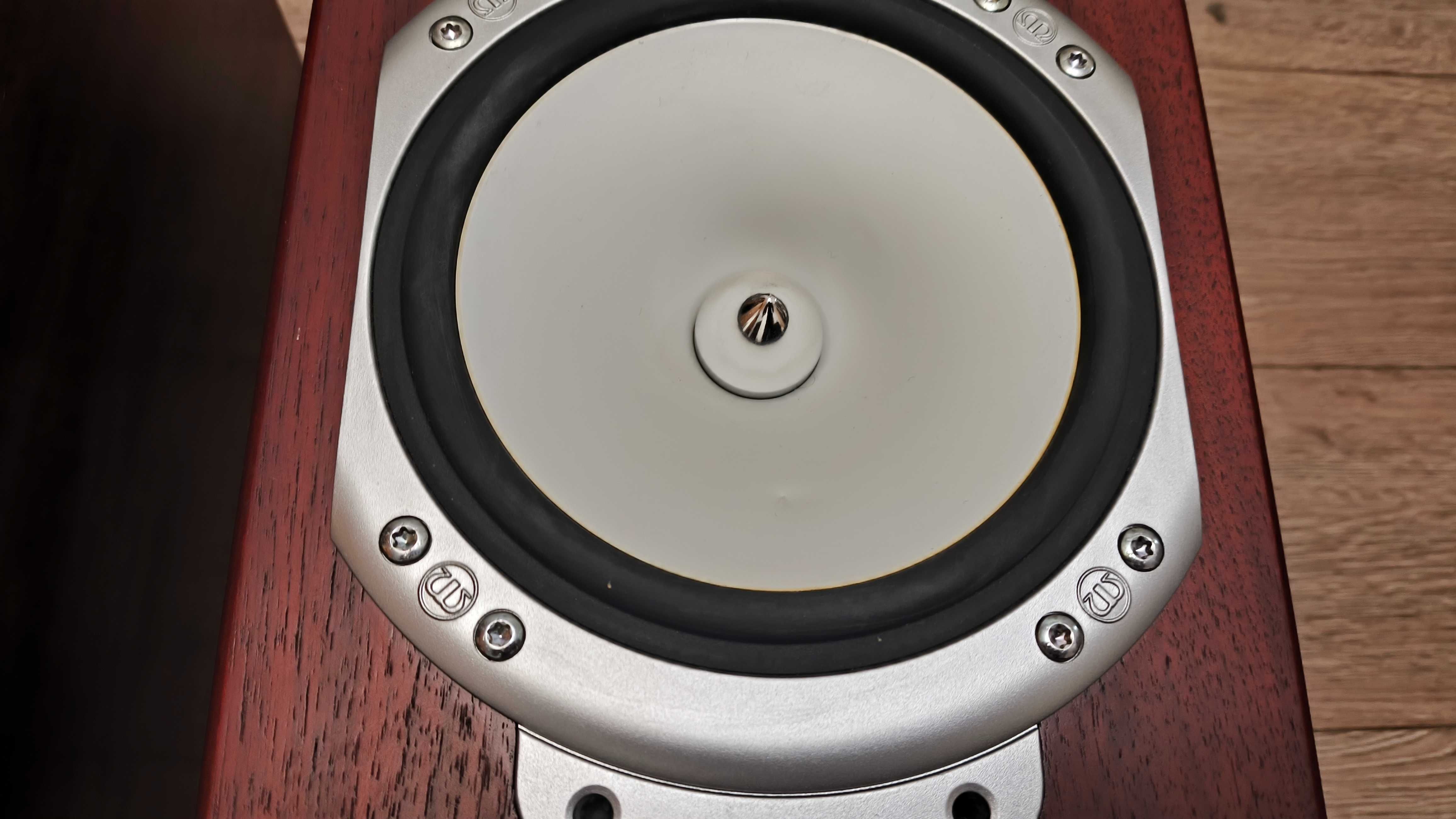 Hi-Fi напольна акустика Monitor Audio RS6 Rosewood