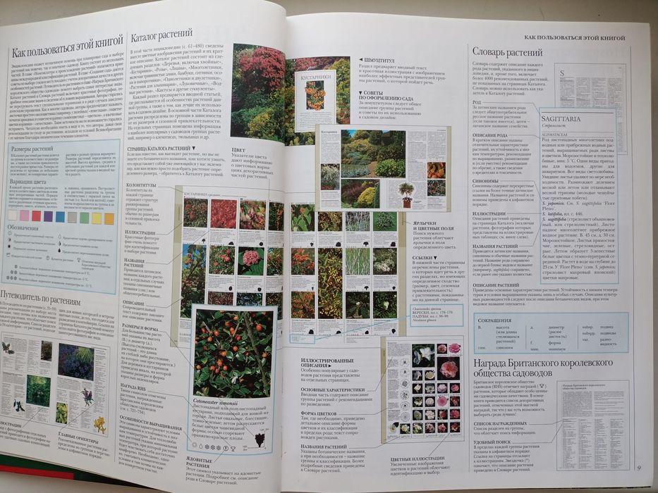 Ваш цветущий сад