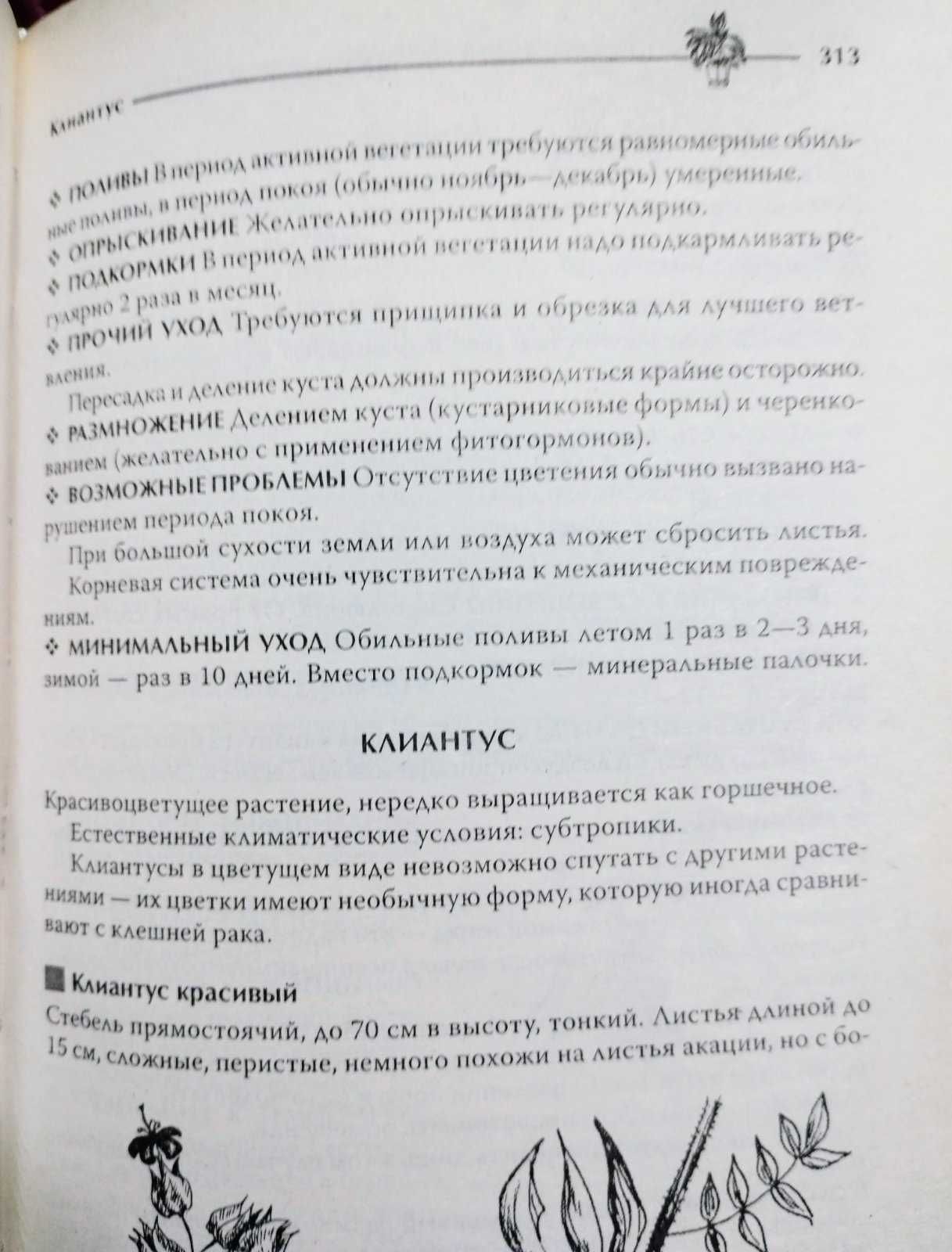 1000 видов комнатных растений. Цветоводство от А до Я. М. Цветкова